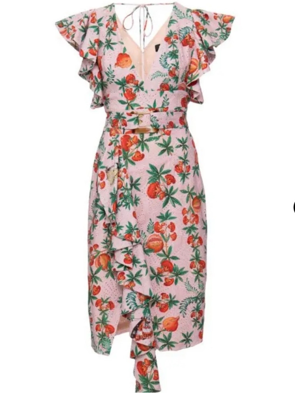 PatBO RARE print Pomegranate Butterfly Eyelet Print Ruffle Belted Midi dress